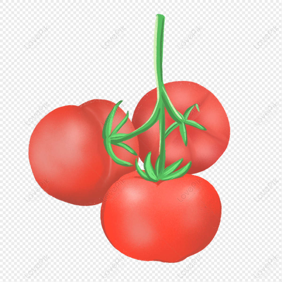 Tomato Drawing Kamatis - Vegetable Tomato In Clip Art Transparent ...
