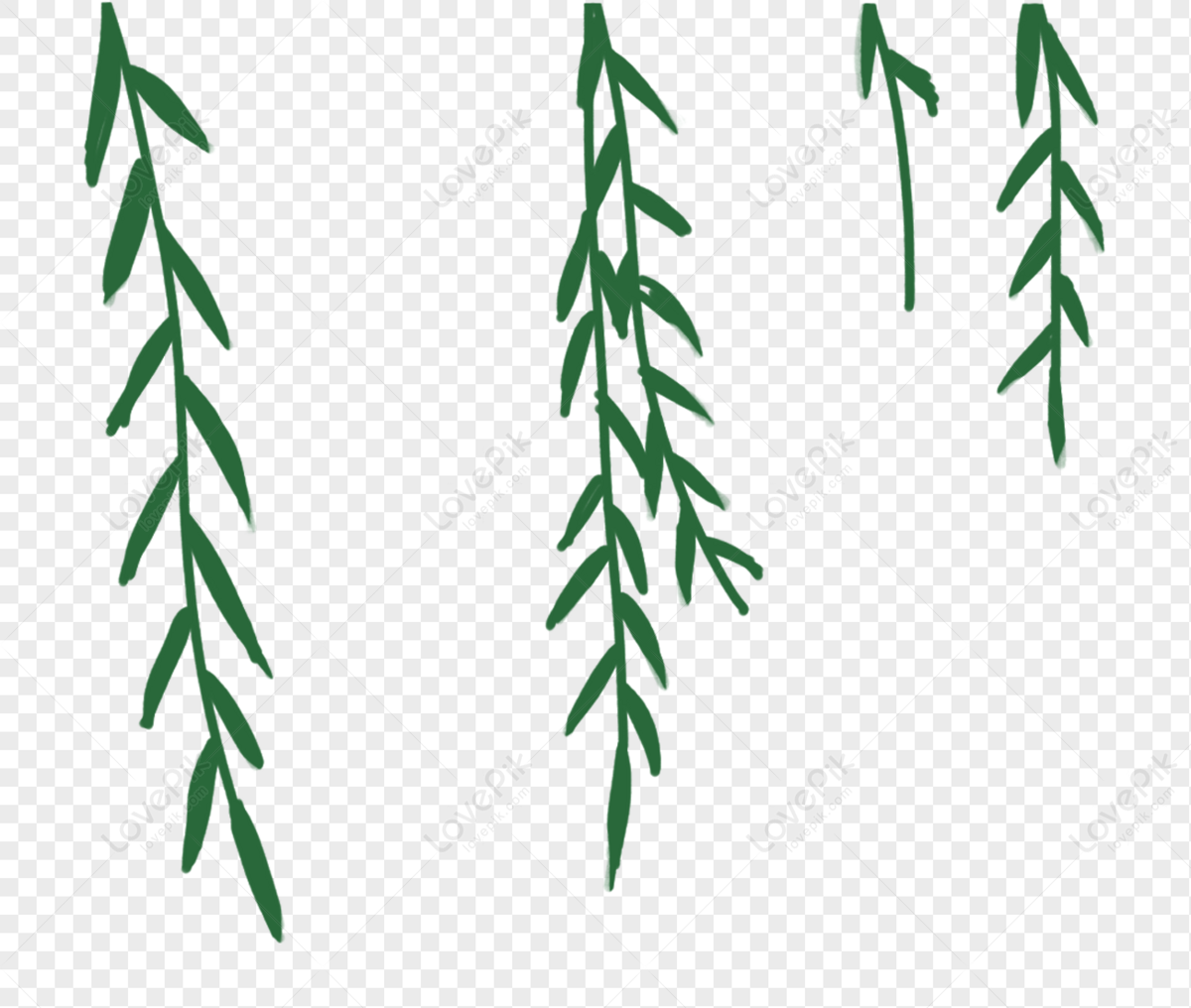 Willow Leafs Clip Art Library 0187