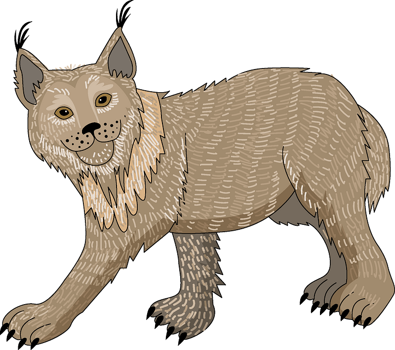 Illustrated lynx with tufted ears, thick fur, and alert stance on teal background.