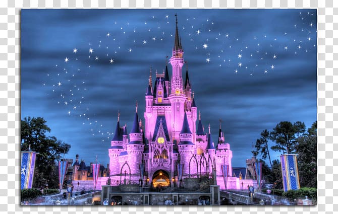 Cinderella Castle at Disney World illuminated in purple under a starry night sky.