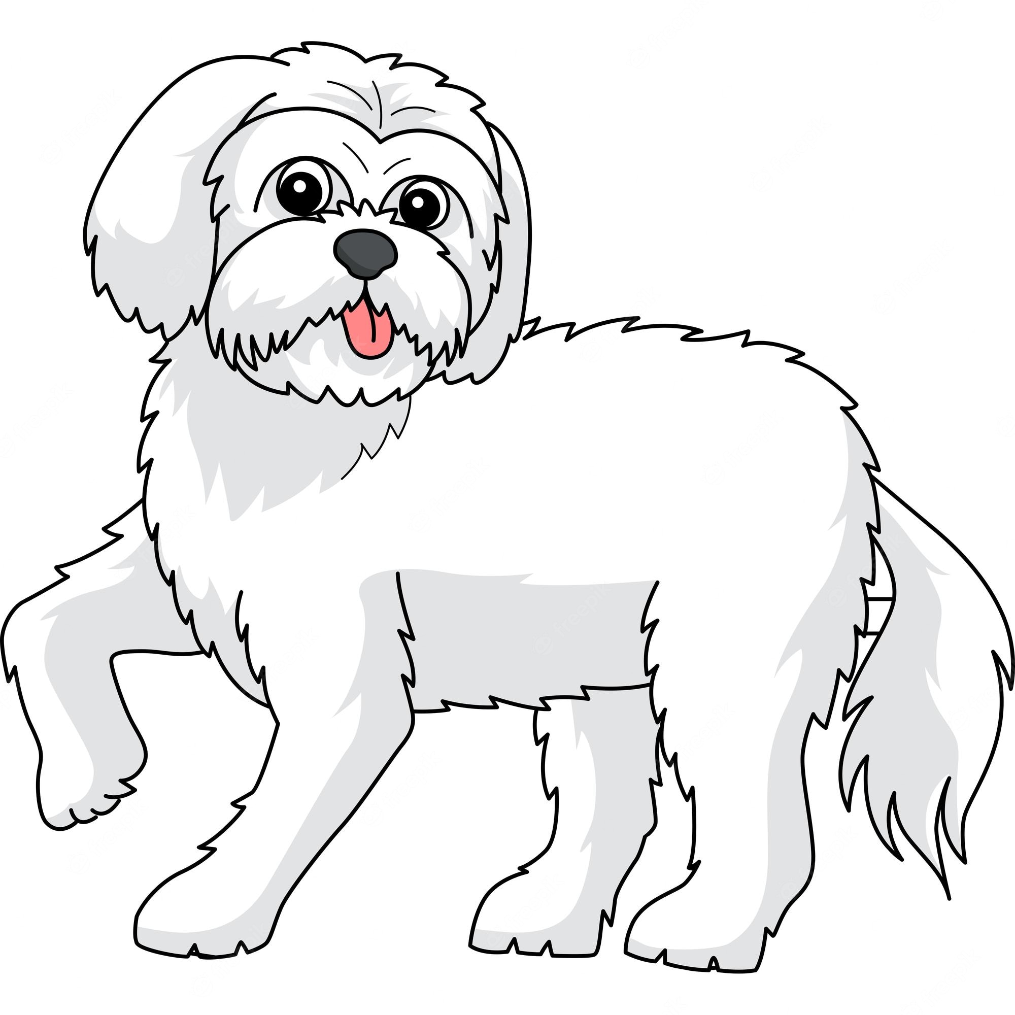 420+ Maltese Dog Illustrations, Royalty-Free Vector Graphics - Clip Art ...