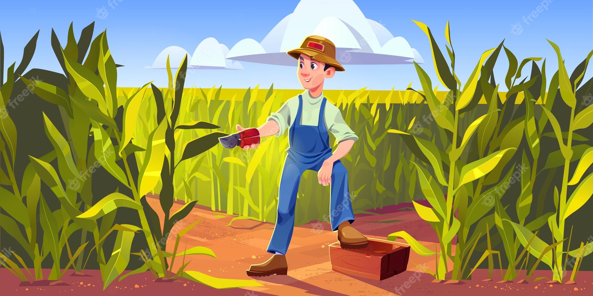 Farm Crop Agriculture Crop Farm S Grass Tree Plant Png PNGWing 