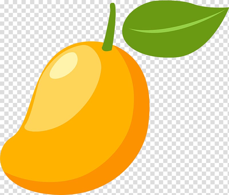 Fresh Mango Illustration - High-Quality PNG for Recipes, Blogs & Design