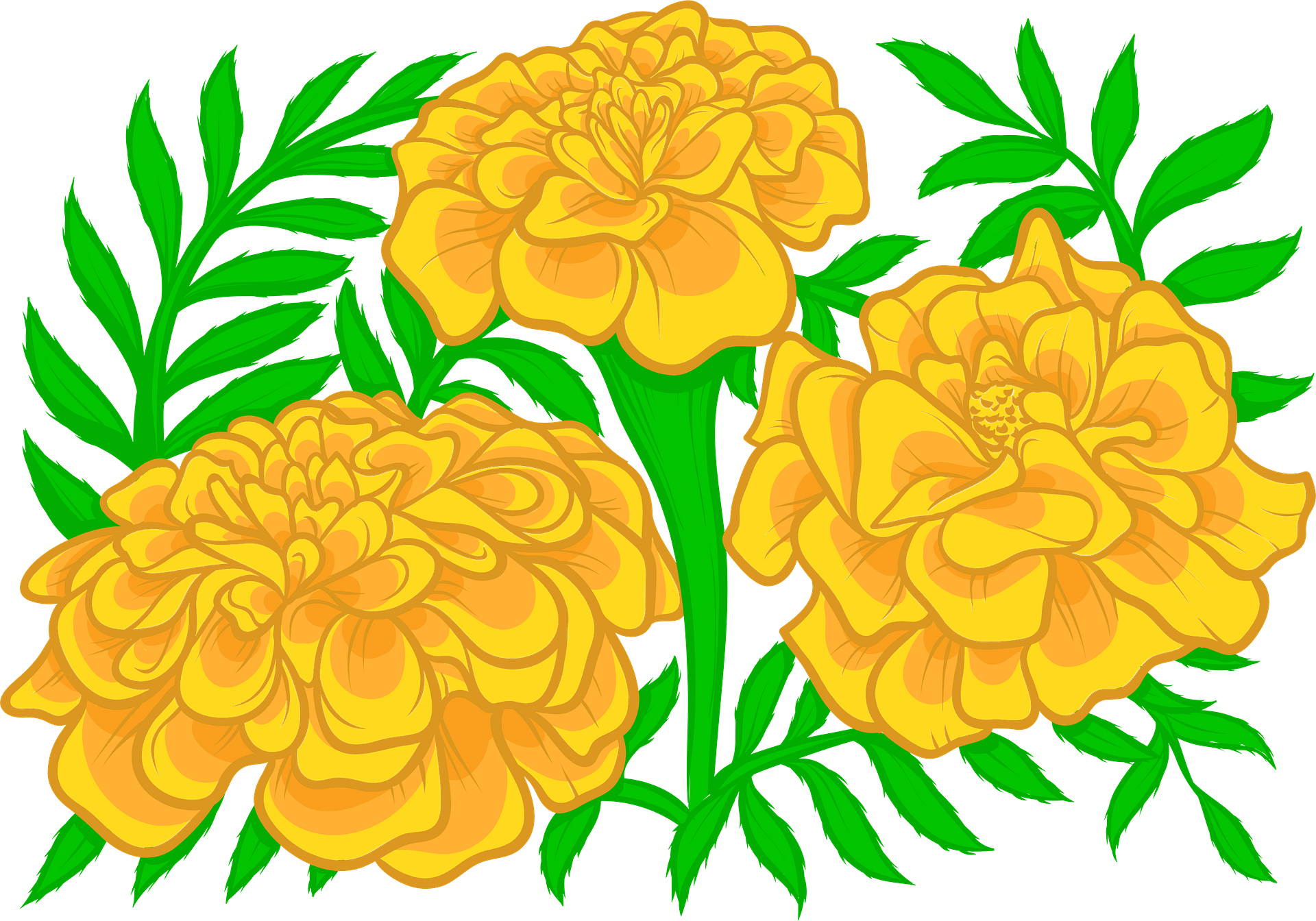 Marigold Flower Clipart - Orange Flower Clipart Png Transparent - Clip ...