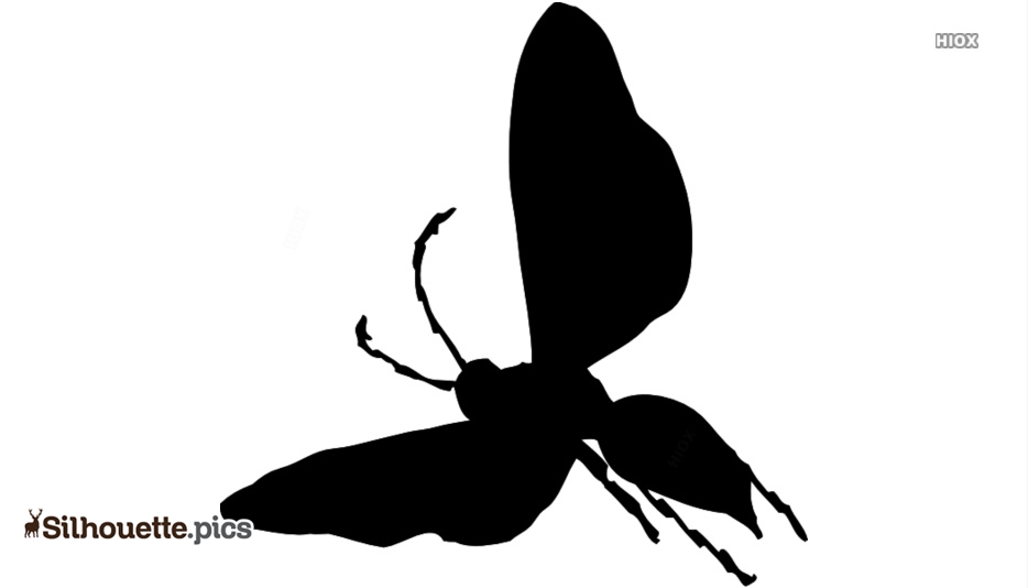 Black silhouette of a moth with spread wings, antennae, and segmented legs on white background.