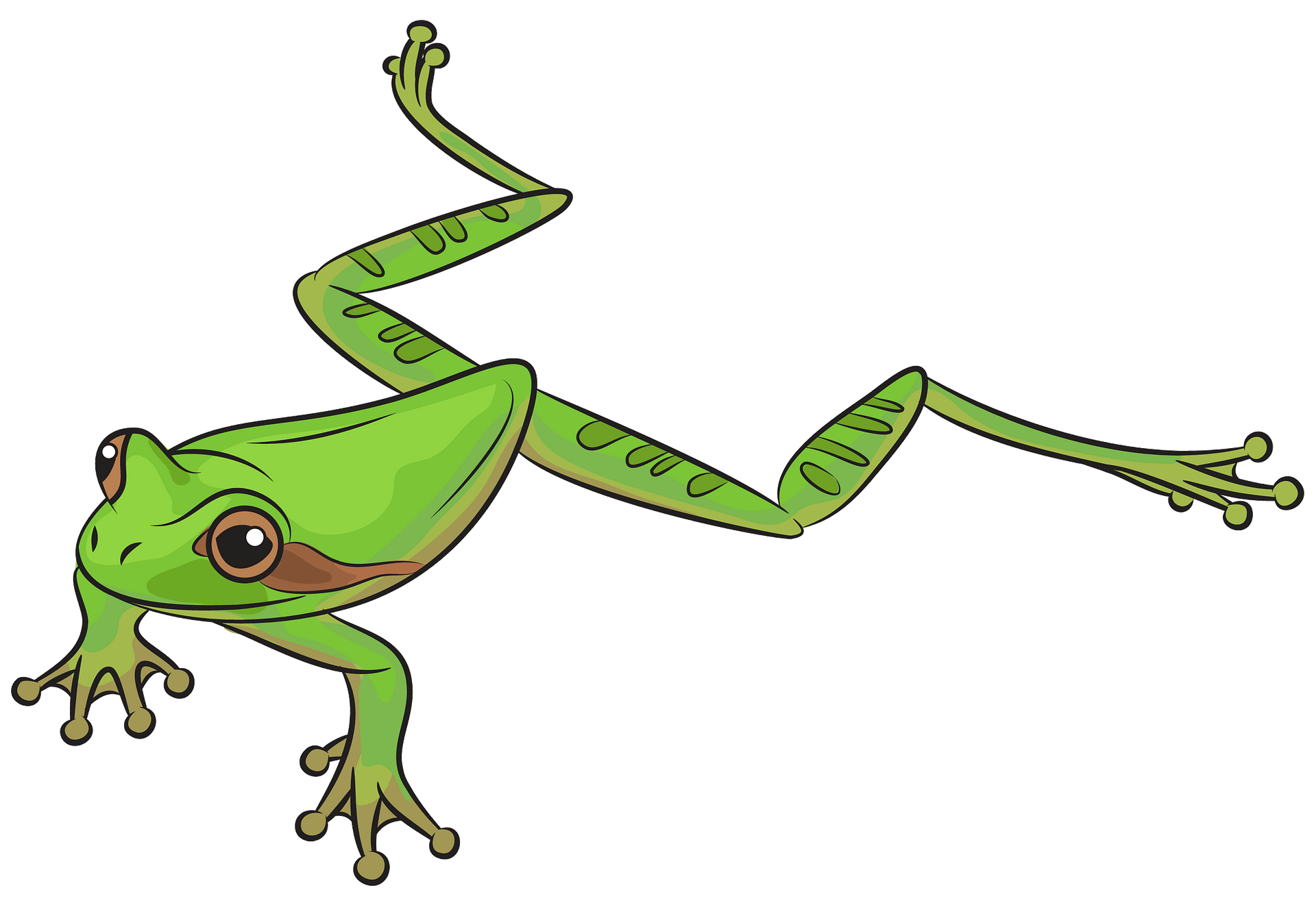 green frog - Clip Art Library