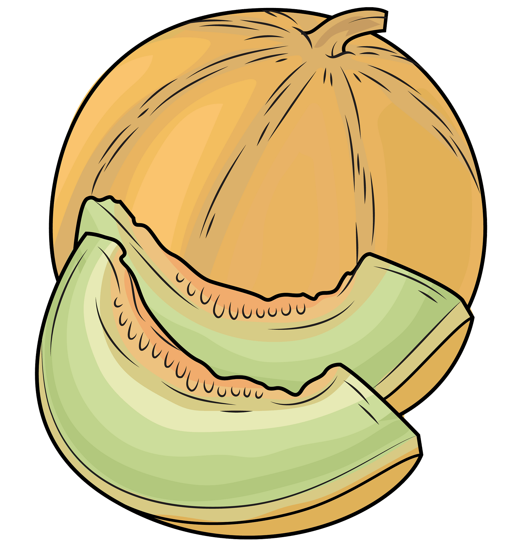 Watermelon Clipart Images | Free Download | PNG Transparent - Clip Art ...
