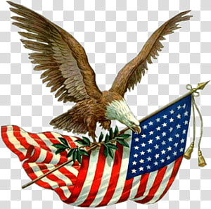Patriotic Eagle with American Flag - Symbol of Freedom and Unity
