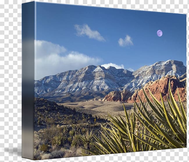 Snow-dusted Red Rock Canyon mountains under a clear blue sky with a visible purple moon and desert yucca in foreground.