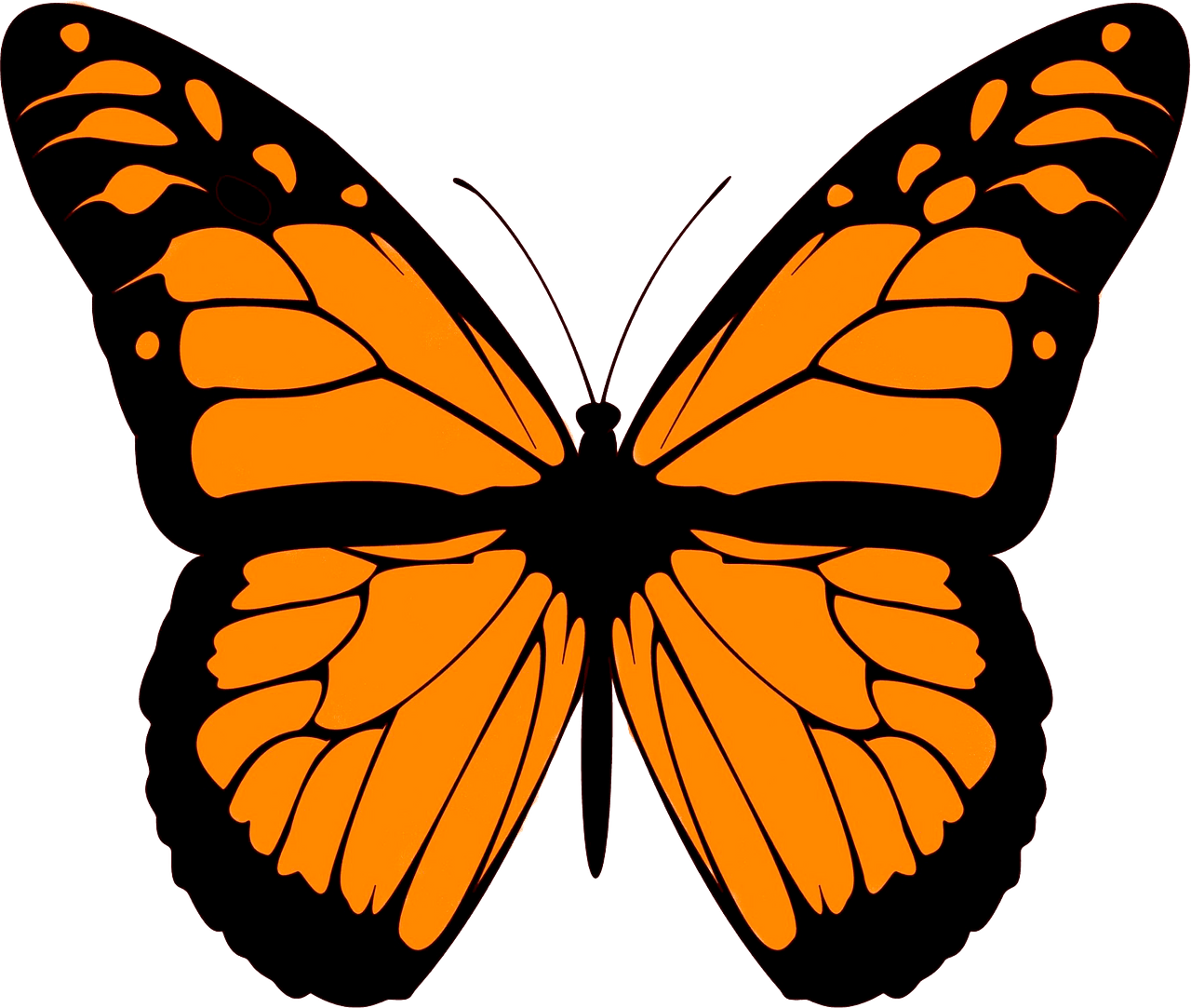 Monarch Butterfly Illustration - Vibrant Orange & Black Wings