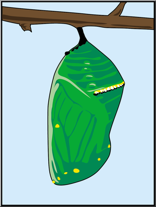 Free Chrysalis Cliparts, Download Free Chrysalis Cliparts png - Clip ...