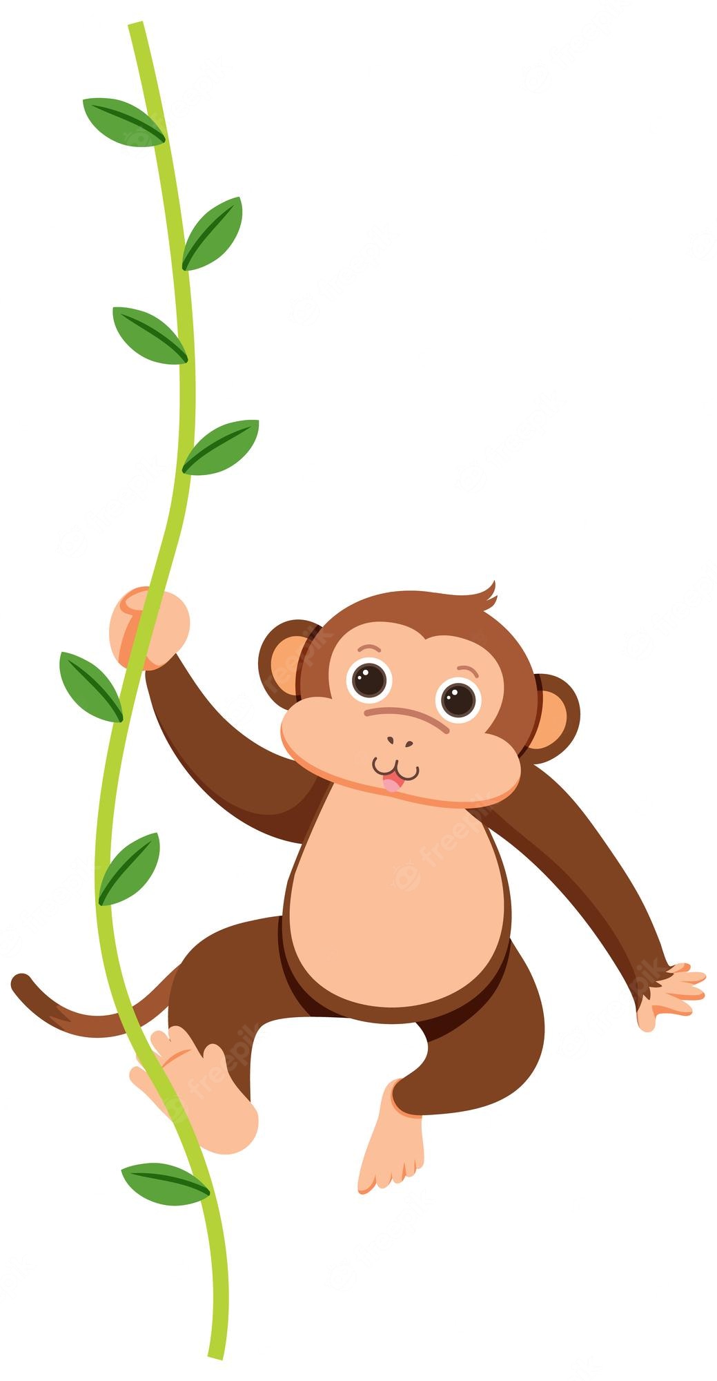 hanging-monkey-png-image-black-and-white-download-monkey-clipart