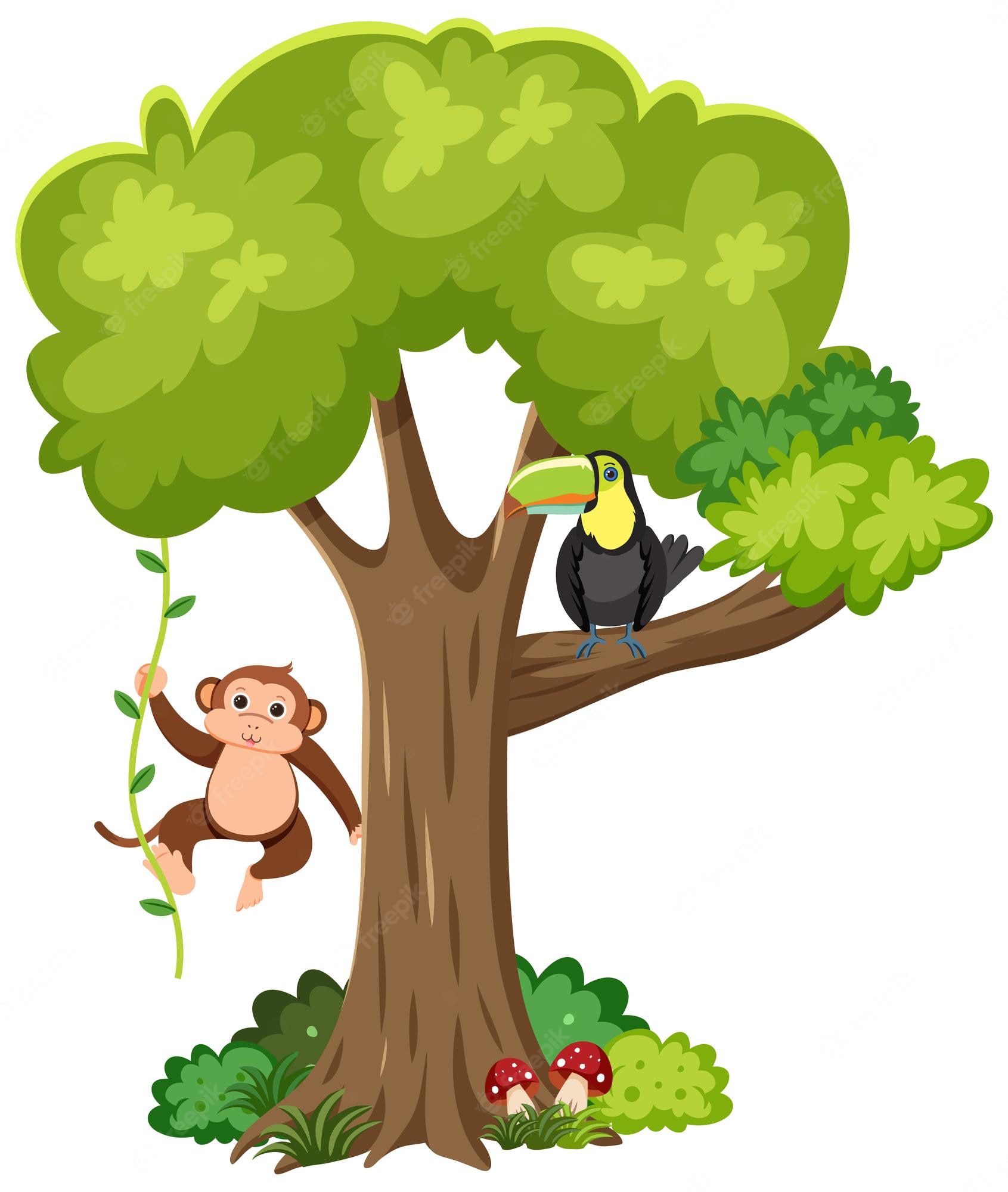 Watercolor. Monkeys clipart, cute tropical monkeys, For inst - Clip Art ...