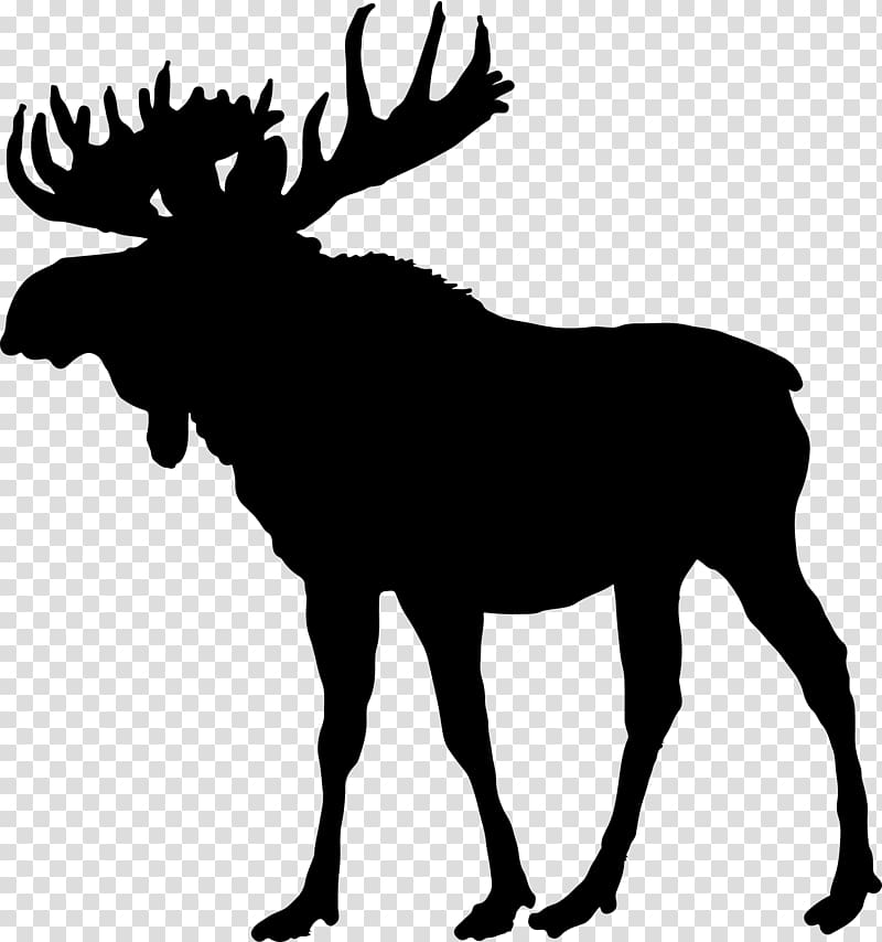 Black silhouette of a moose with large antlers standing in profile against transparent background.