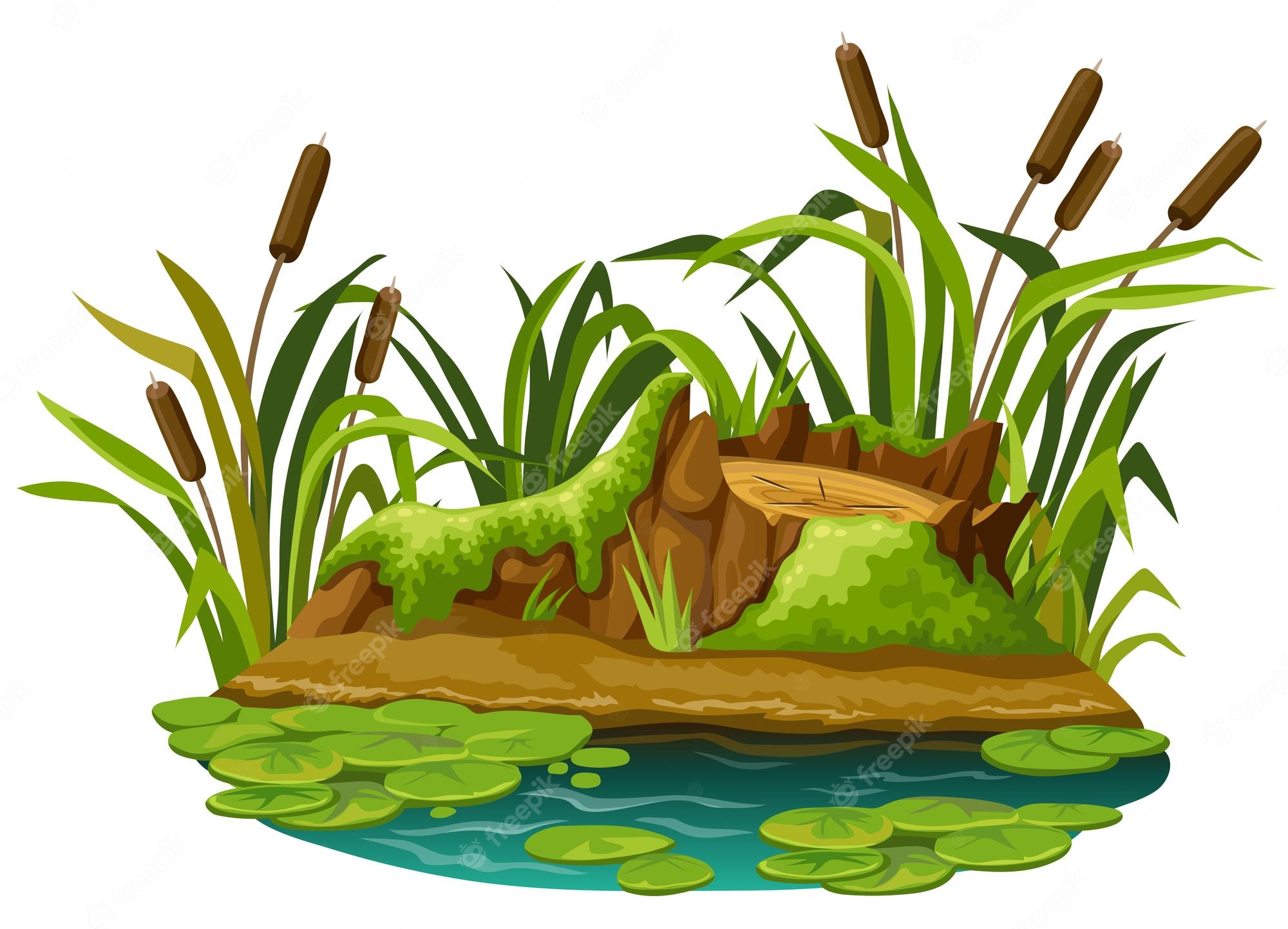 Marsh Vector Art, Icons, and Graphics for Free Download - Clip Art Library