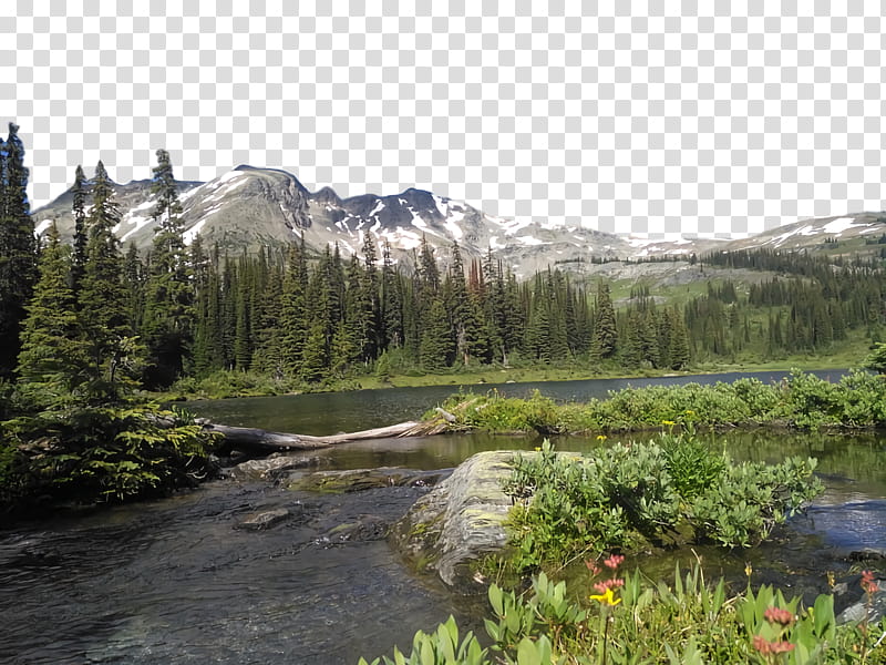 Serene alpine lake surrounded by evergreen forest and snow-dusted mountains under clear skies.