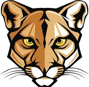 Stylized geometric illustration of a cougar’s face with intense yellow eyes and sharp features.