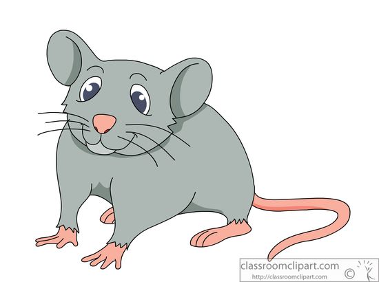 Cute cartoon gray mouse with large eyes, pink nose, and long tail standing on white background.