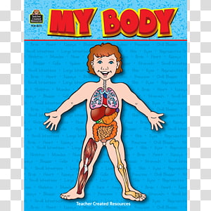 Educational illustration of a child's body with visible internal organs on blue background.
