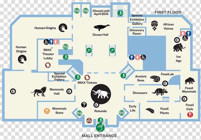Floor plan of a natural history museum's first floor with exhibit halls, IMAX theater, and amenities labeled.