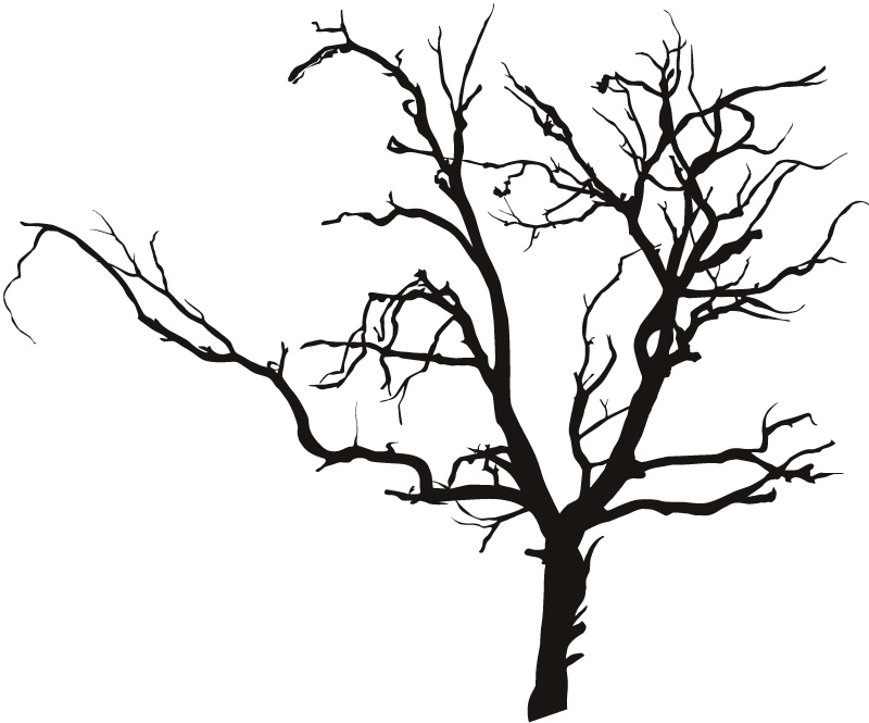 Bare Tree Silhouette - Free Vector Clipart for Design & Illustration