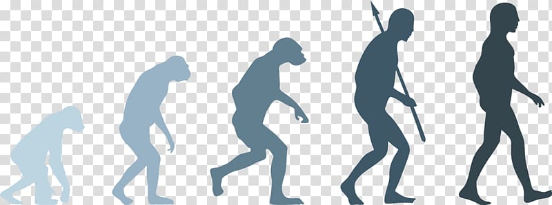 Evolution Vector Clipart EPS Images. 42,040 Evolution clip art - Clip ...