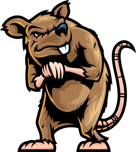 Angry cartoon rat with clenched fists, furrowed brow, and sharp teeth, standing upright in a defiant pose.