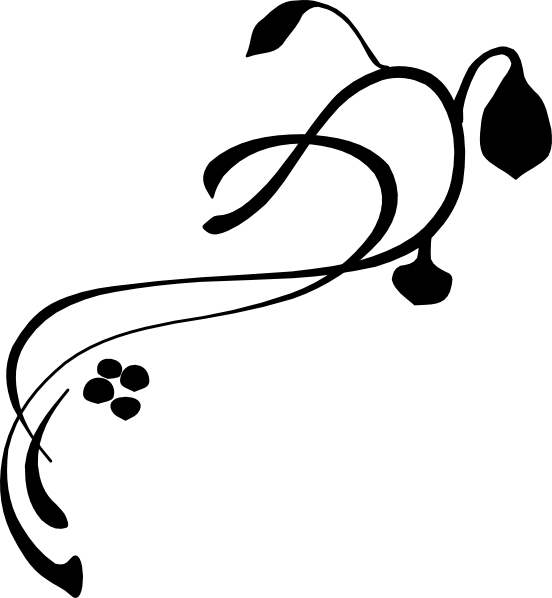 Blank or missing image placeholder