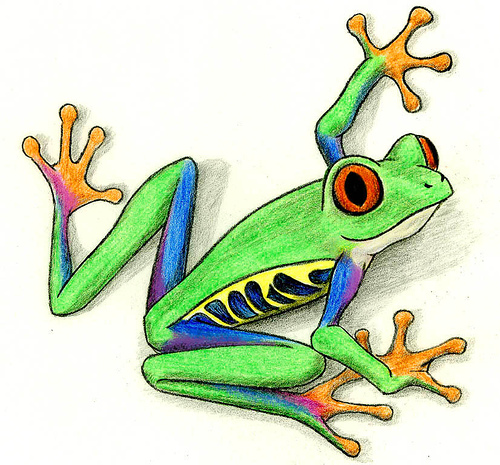 Colorful Tree Frog Illustration - Artistic Colored Pencil Drawing