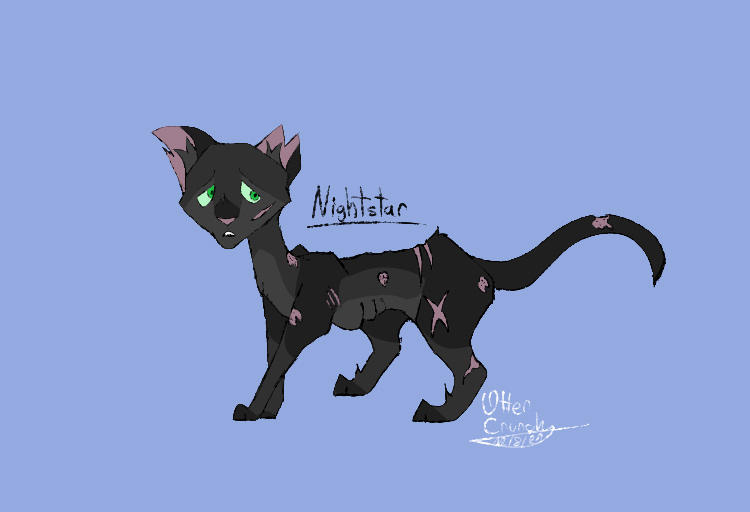 A black cat named Nightstar with green eyes, pink ear tips, and visible scars, drawn in a digital art style on a light blue background.