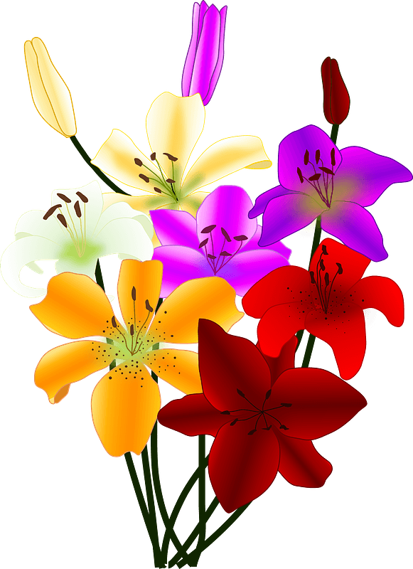 Vibrant bouquet of colorful lilies including red, orange, yellow, white, pink, and purple blooms with green stems on gray background.