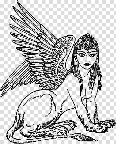 Winged sphinx with a woman’s head, lion’s body, and feathered wings, drawn in detailed black-and-white line art.