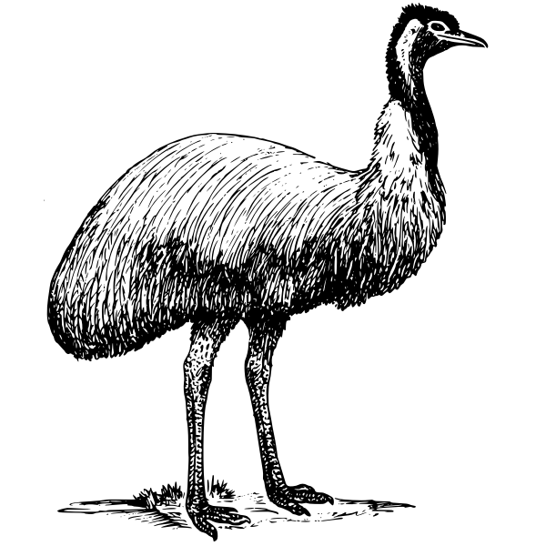 A blank black image with no visible content or detail.
