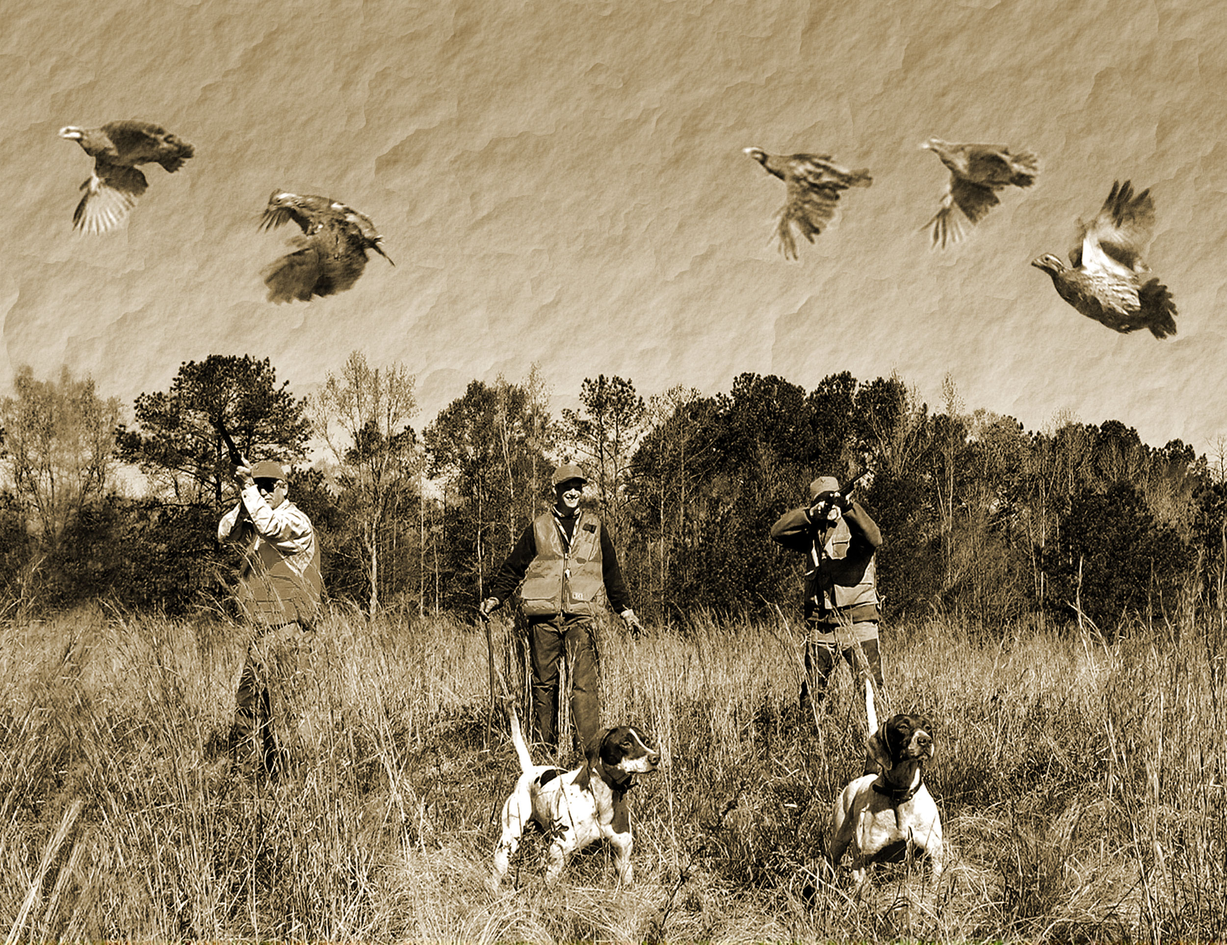 Brittany Bird Dog, Quail Rise Upland Hunting Scene Decal - Clip Art Library