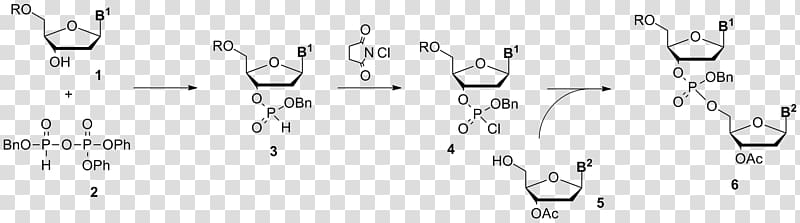 Dinucleotide Synthesis via Phosphoramidite Coupling - Reaction Mechanism Explained