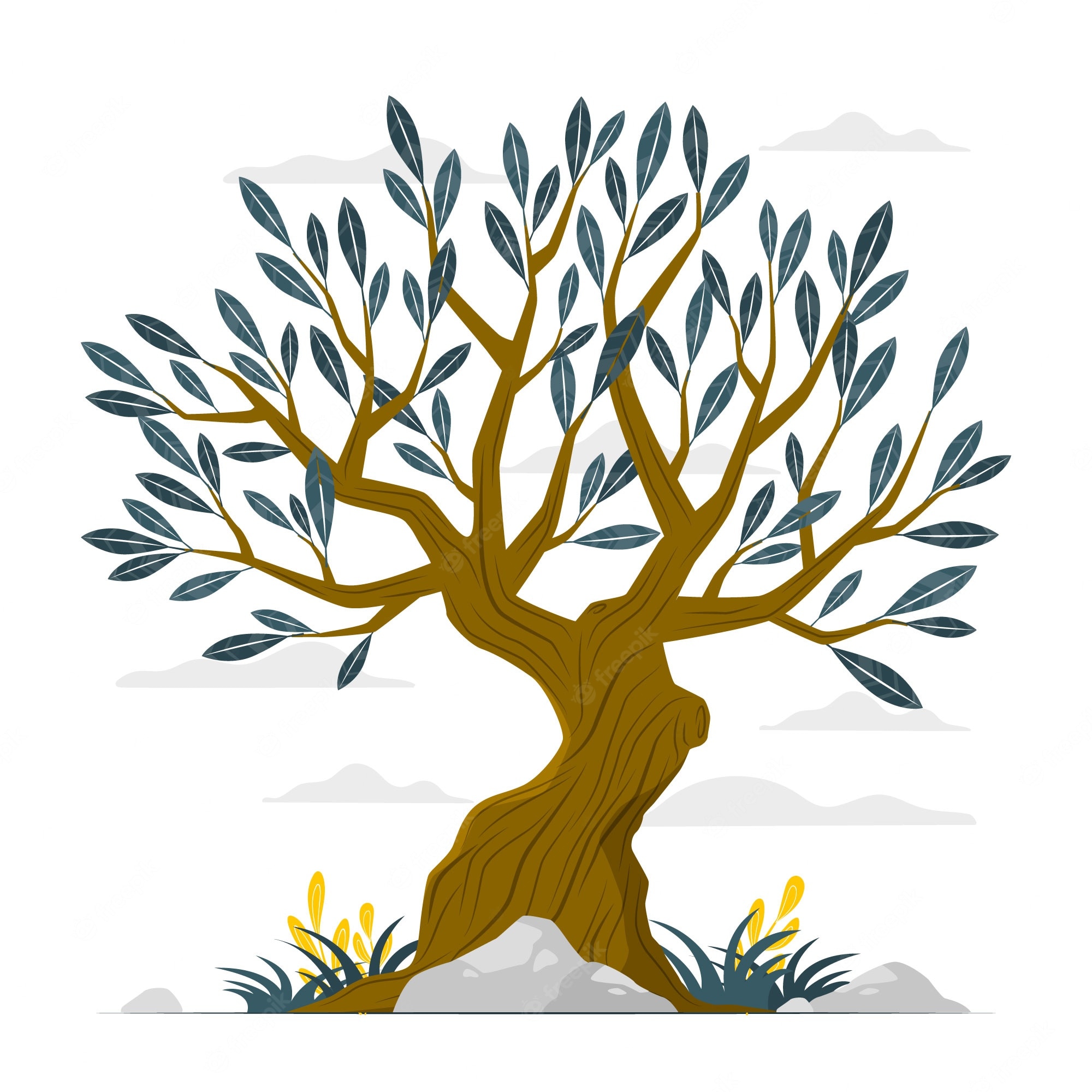 Top Olive Tree Stock Vectors, Illustrations & Clip Art - Clipart ...