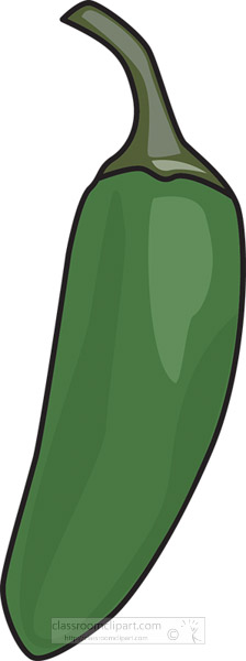 Green jalapeño pepper illustration with glossy surface and curved stem.