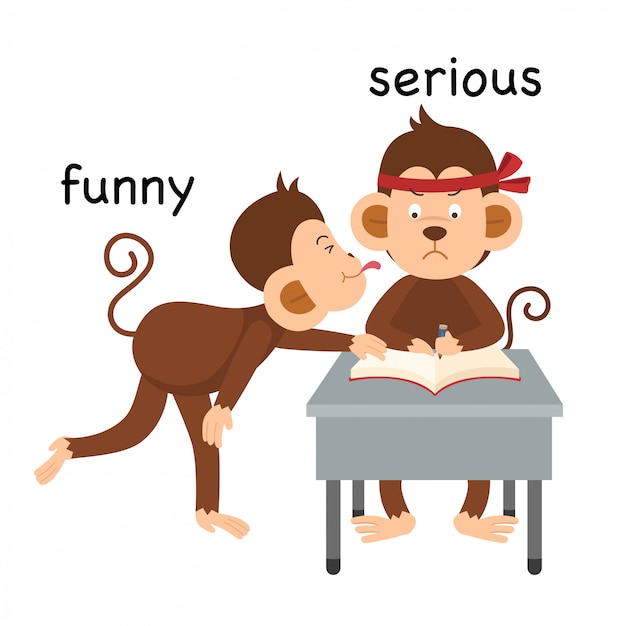 Two cartoon monkeys-one playful and funny, the other serious-studying at a desk.