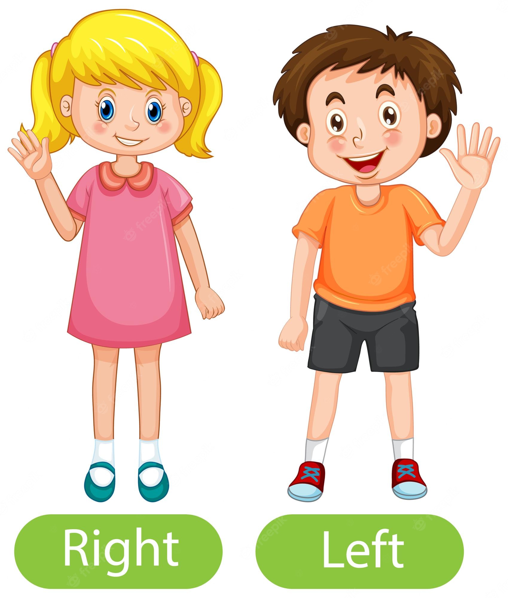 Friendly Cartoon Bee Illustration For Kids Content Educational Sites 
