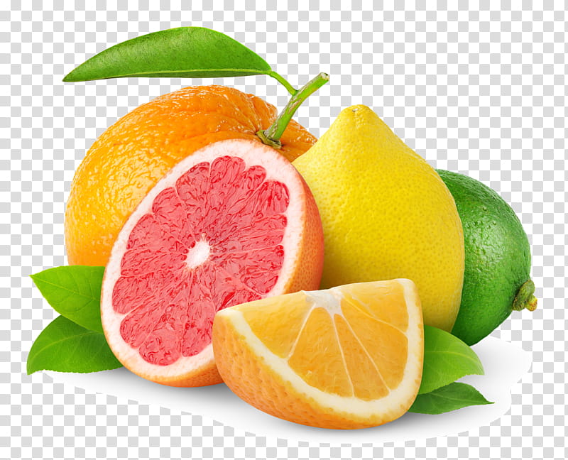 Fresh citrus fruits including grapefruit, lemon, lime, and orange with green leaves on transparent background.