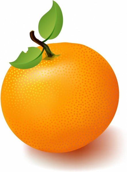 Fruit Oranges Clip Art Library
