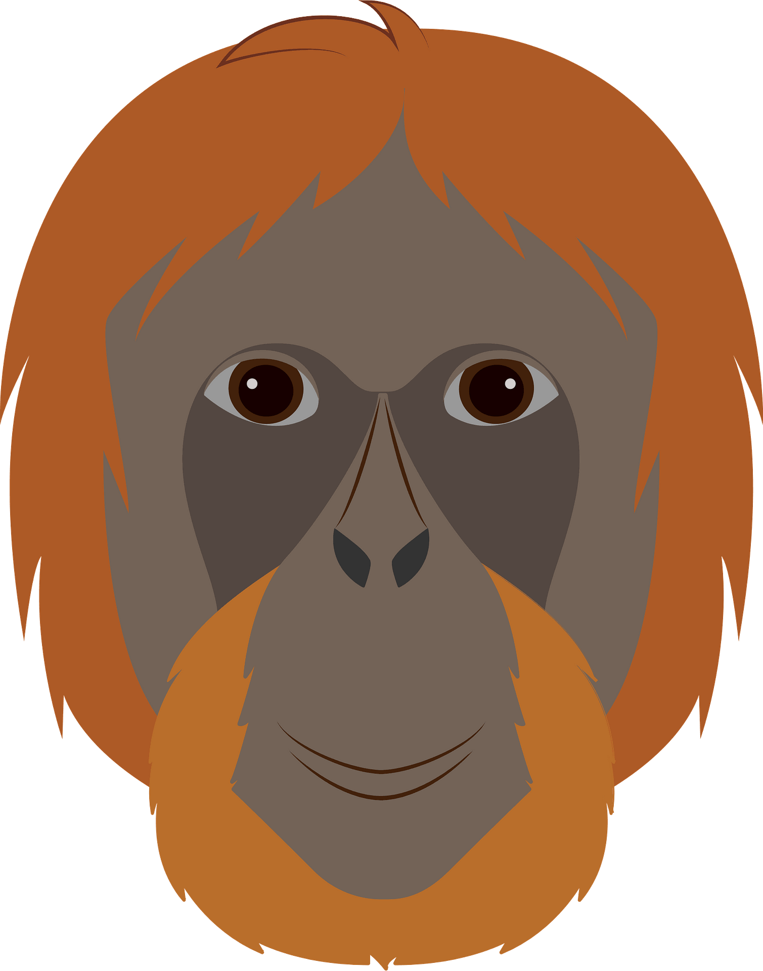 Cartoon Baby Orangutan