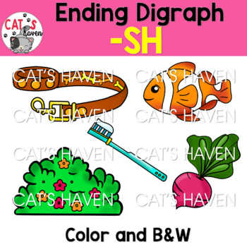 Educational illustration showing words ending in "-SH": hush, fish, brush, bush, radish, with color and black-and-white versions.