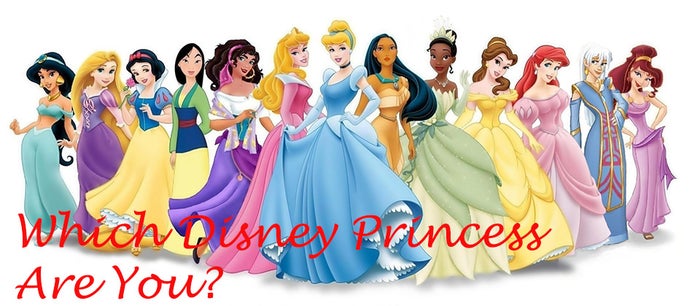A lineup of 14 Disney Princesses in iconic gowns, including Ariel, Belle, Cinderella, Elsa, Jasmine, Mulan, Moana, Pocahontas, Rapunzel, Snow White, Tiana, and others.