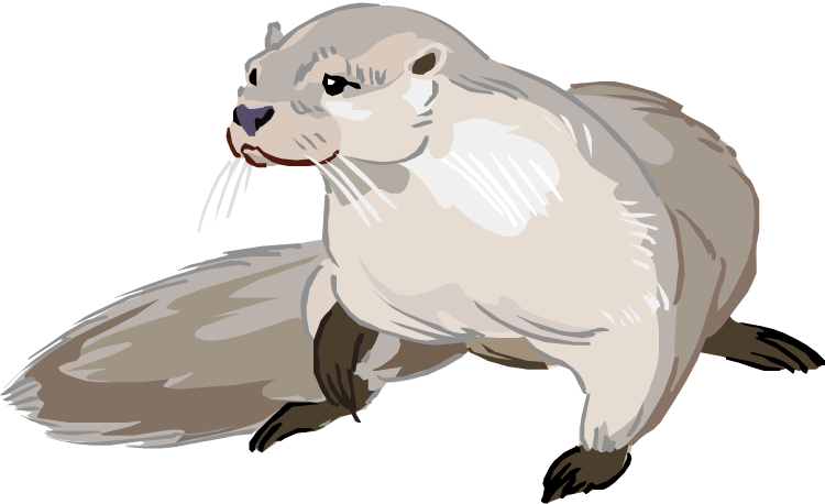 Free Otter Cliparts, Download Free Otter Cliparts png images, Free 