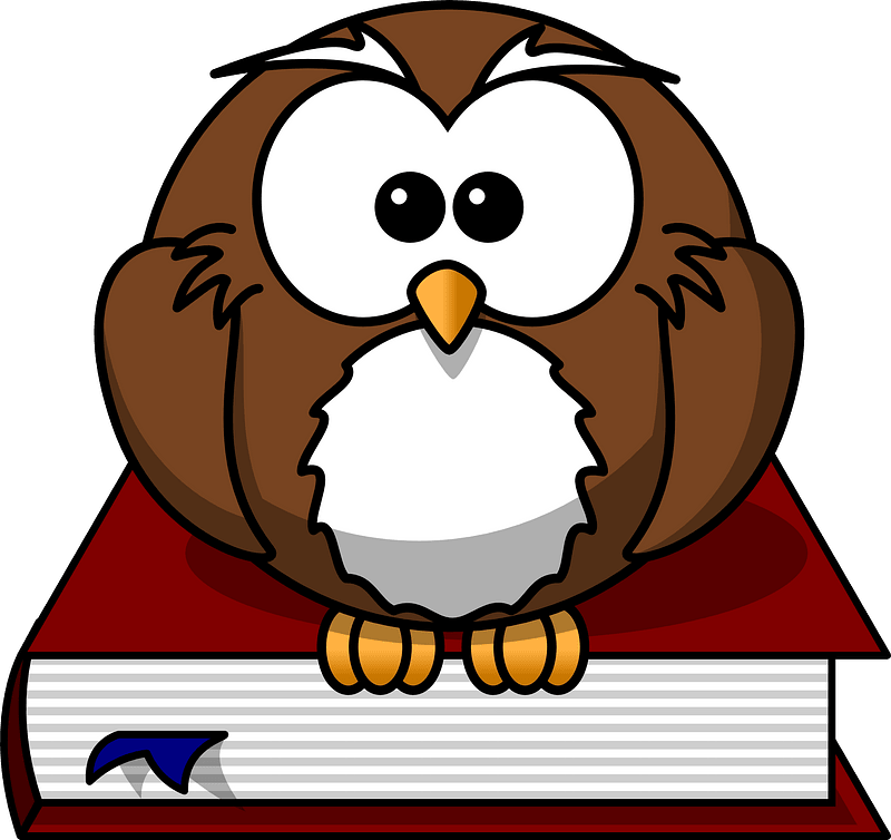 Cartoon wise owl perched on a red book, holding it with talons, large eyes and white chest.