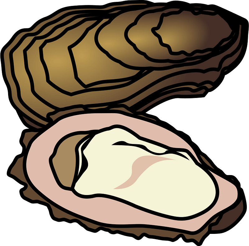 Open oyster shell with creamy white pearl nestled inside, illustrated in warm tones on teal background.