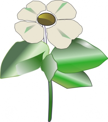 Simple white flower with green leaves and stem, stylized illustration.