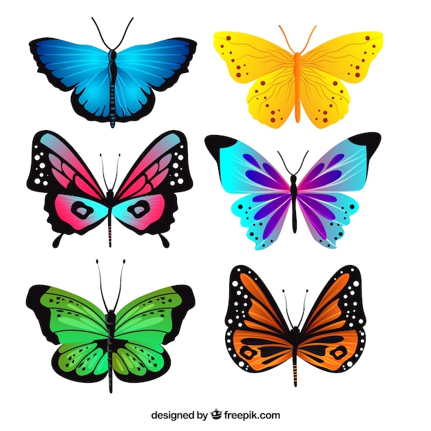 Vibrant Butterfly Illustrations - Free Vector Graphics for Design Projects