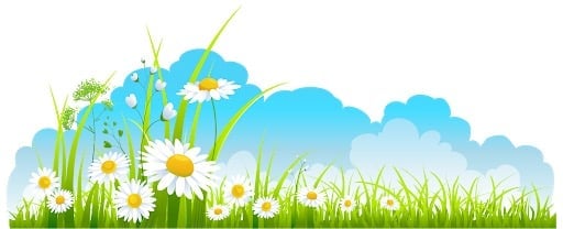 Spring meadow with white daisies, green grass, and blue sky with fluffy clouds.